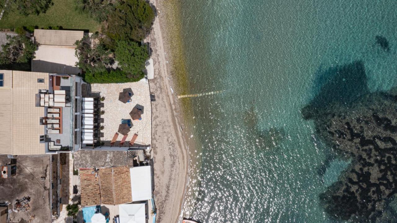 Galini Beach Studios And Penthouse Μεσογγή Εξωτερικό φωτογραφία